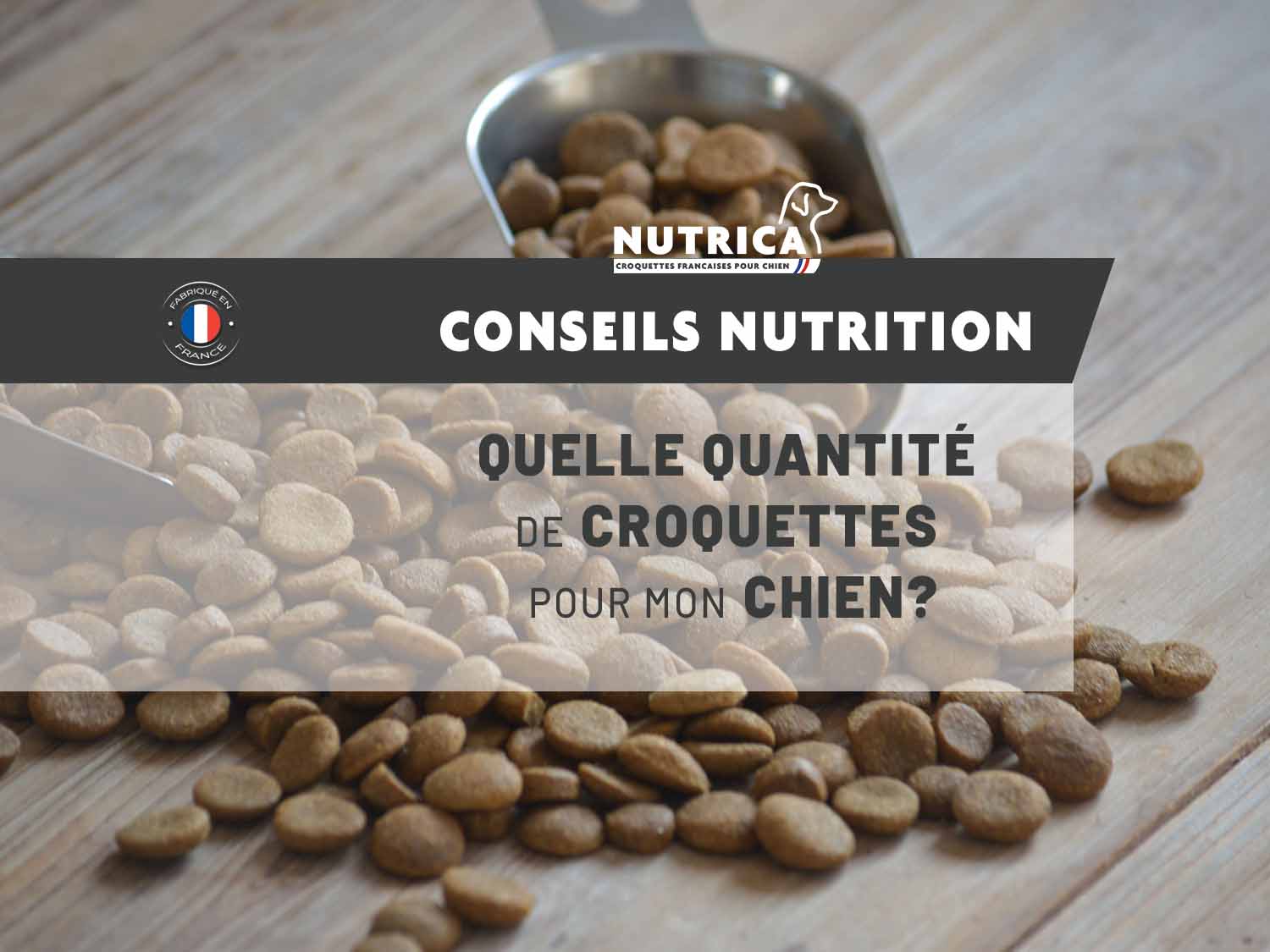quelle-quantit-de-croquettes-pour-mon-chien-croquettes-nutrica