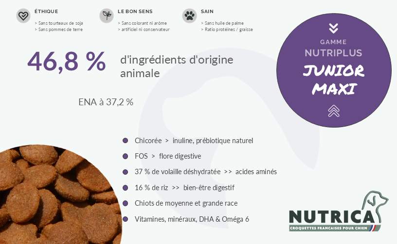 Croquettes Junior Maxi NUTRIPLUS : 46,8 % d'ingrédients d'origine animale, 37 % de volaille déshydratée, chiots de moyenne et grande race