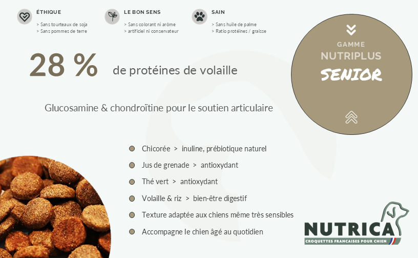 Croquettes Senior NUTRIPLUS : 28 % de protéines de volaille, glucosamine et chondroïtine pour le soutien articulaire du chien âgé